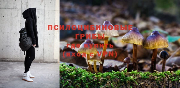 spice Балабаново